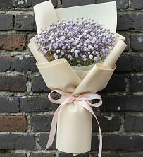 Букет Нежные чувства в Мге Букет цветов из:  Гипсофила в Мге