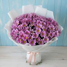 Букет сиреневая охапка в Мге Букет цветов из:  Хризантемы в Мге