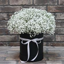 Композиция коробка гипсофил в Мге Цветочная композиция из Гипсофила в шляпной коробке в Мге