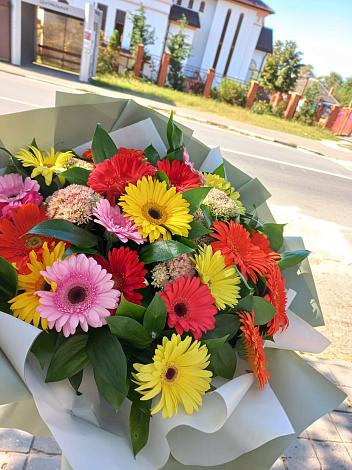 Букет цветов из: Герберы в Мге